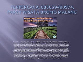 Terpercaya, 085659490974, Paket Wisata Bromo Malang