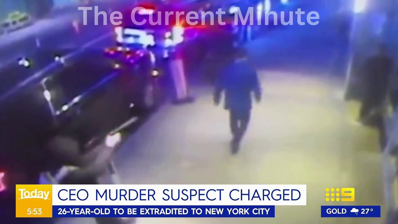 CEO Murder Suspect Charged '' Luigi ''