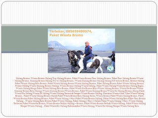 Terbesar,  085659490974, Paket Wisata Bromo