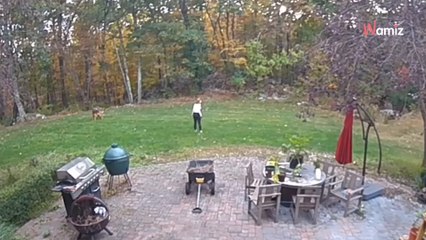 Cris étranges dans la montagne : son réflexe pour mettre ses chiens en sécurité émeut 1,9M de personnes (vidéo)