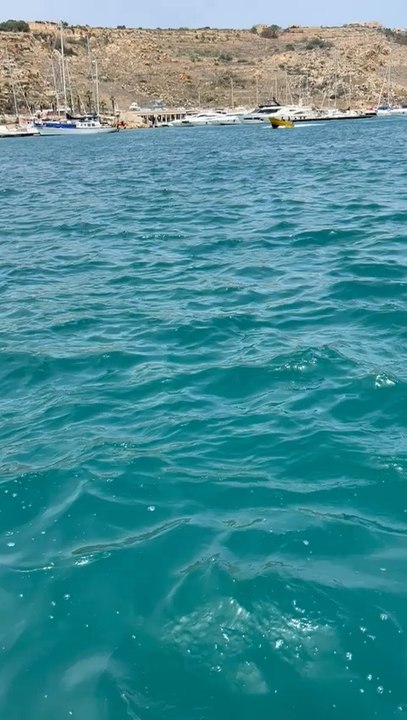 🌊