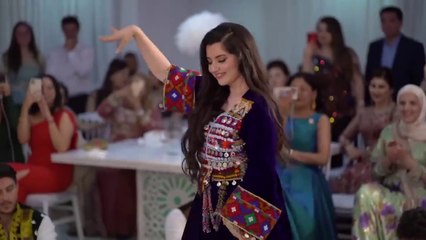 Melodic vibes, beat buzz, music songs,