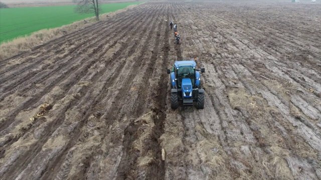 Od 80 lat opowiadamy Wam Wielkopolskę. Wielka wichura zniszczyła lasy wokół Gniezna. „To był cios, szok i dramat” - prace nadleśnictwa