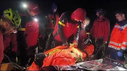 Ucraniano a fugir da guerra resgatado na Roménia. Gato "salvou-o"