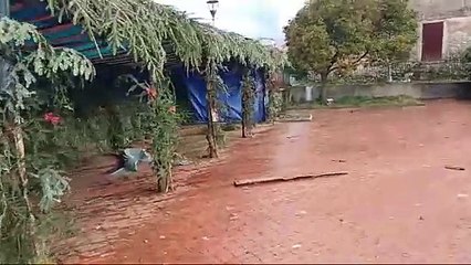Natale di solidarietà a Dinami