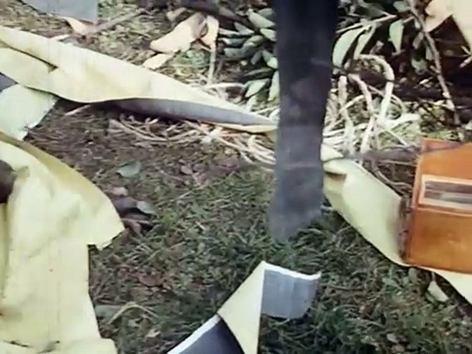 Pan Tau S02E04-Pan Tau und der Ziegenhund