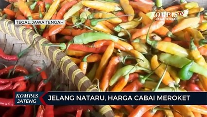 Jelang Natal dan Tahun Baru, Harga Cabai Meroket