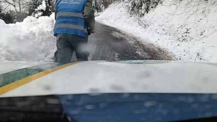 San Polo d'Enza (RE), capriolo ferito viene salvato
