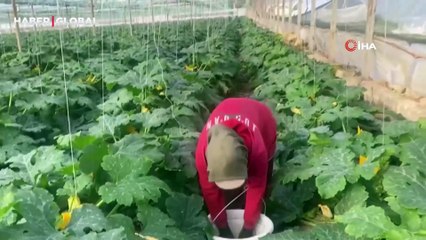 Suriye'den kaçıp Türkiye'de evlenen çift: “Esad'ın yaptığını bize gavur yapmadı”