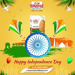 "Colors of Freedom: A Celebration of Unity"