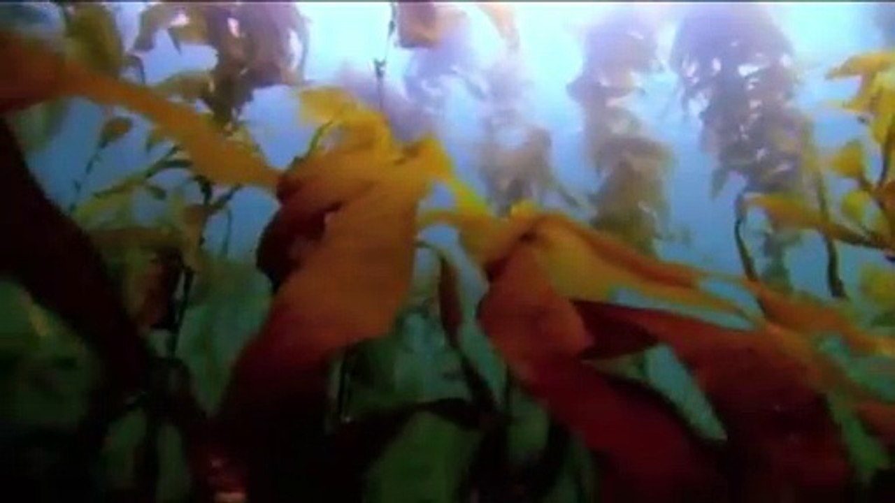 Most Beautiful Azan | Emotional Azan | AZAAN |Saudi Arabia - Best Azan || Hira Shaukat