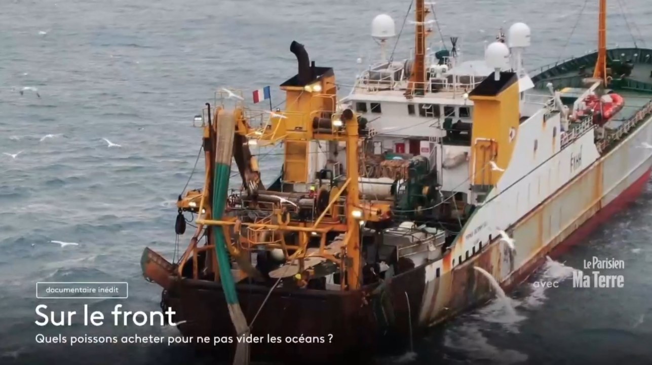 Sur le front - 16 décembre