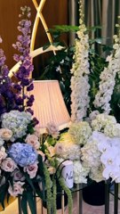 تفاصيل حفل استقبال  نوح الرئيسي
