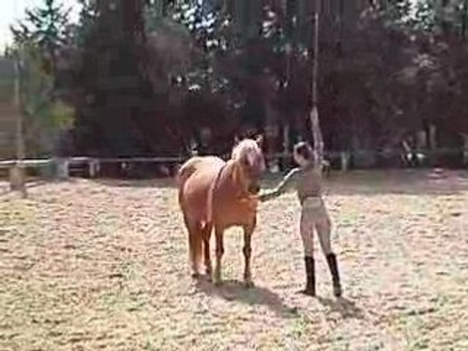 27 04 08 015