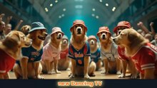 new Dancing TV Let's have fun dancing together!  #dance brackin 💃 Let's dance. fitness🐩 #breakdance