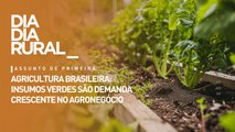 Agricultura brasileira: insumos verdes são demanda crescente no agronegócio