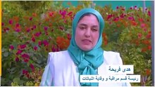 ssyoutube.online - انطلاق عملية إحصاء المشاتل بجميع ربوع المملكة من أجل إخضاعها للاعتماد الصحي لأونسا_240p