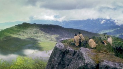 Laura Mora dirige 'Cien años de soledad': "No es nuestra intención superar el libro"