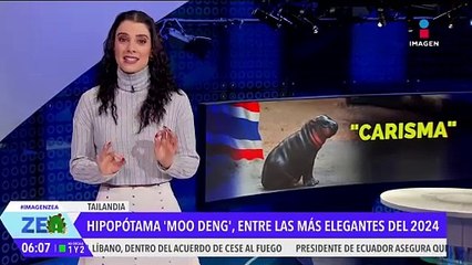 Hipopótama Mood Deng, entre las más elegantes de 2024