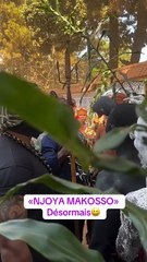 Camille Makosso au cœur d’un événement mystique au Cameroun (Vidéo)
