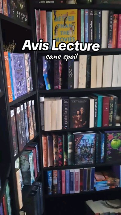 Avis Lecture du Faucheur de Sorcières Tome 1 édité chez les Éditions Bookmark.