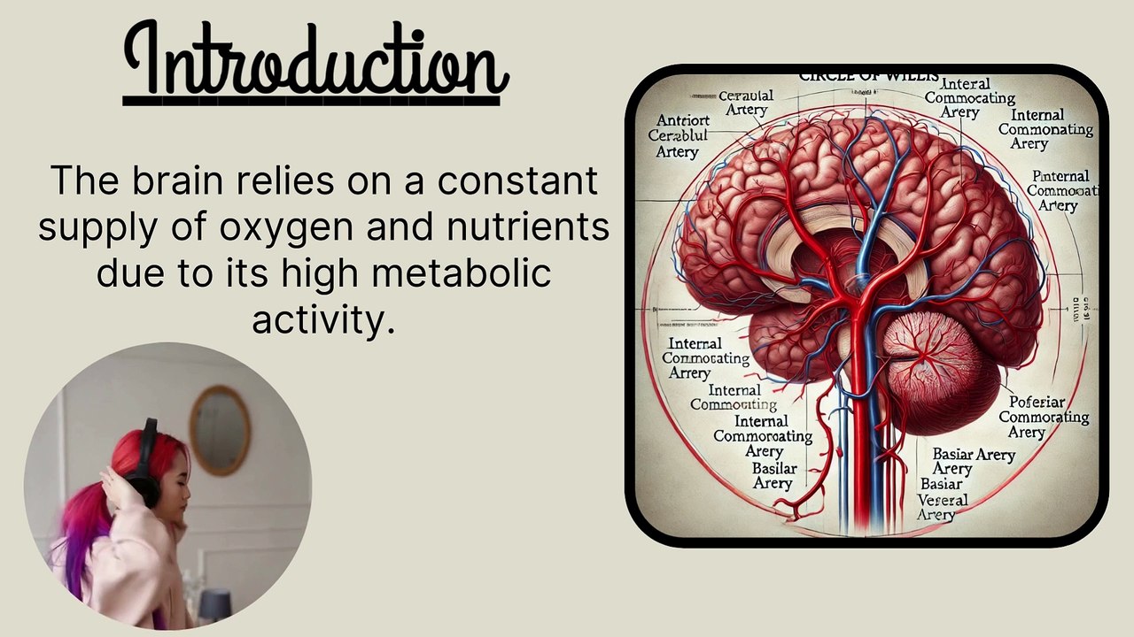 Comprehensive Overview of Brain Blood Supply | Circle of Willis Explained