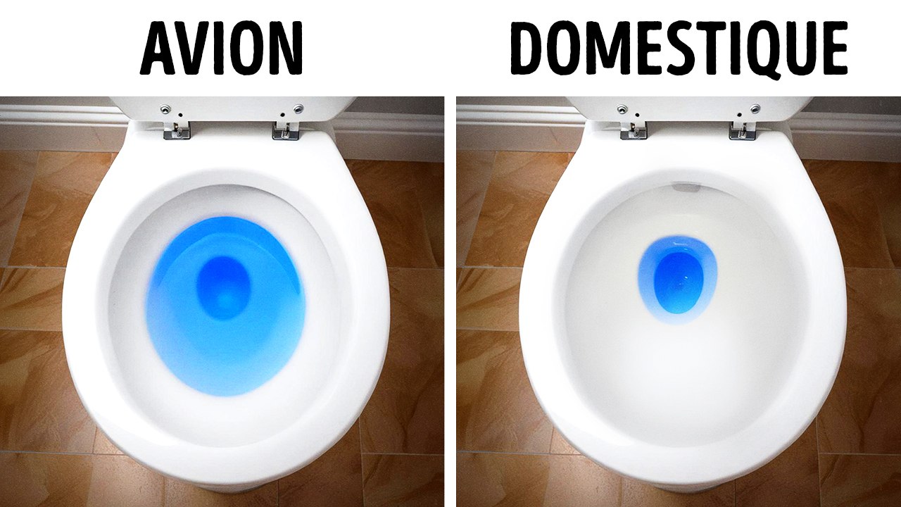 Faits inattendus sur les avions qui changeront votre vision de l'aviation