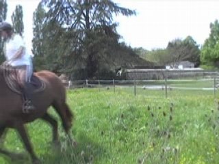 Lazzy 26 et 27 Avril 2008