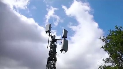 tn7-siete-empresas-participan-en-subasta-de-frecuencias-para-desarrollo-5g-121224