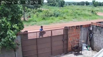 Homem furta caixa de cerveja enquanto motorista almoça; veja flagrante