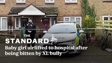 Baby girl airlifted to hospital after being bitten by XL bully