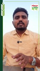 उसाचा साखर उतारा किती