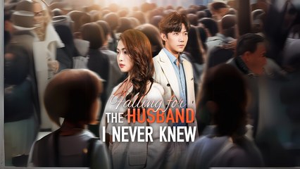 Falling For The Husband I Never Knew Chinesedrama