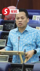No plan to set up entity to regulate REE industry, says Nik Nazmi