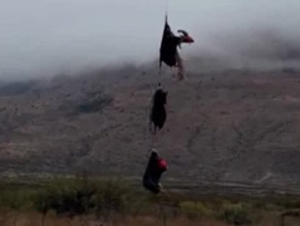 Fliegende Schafe: Helikopter bringt Herde in ihr neues Zuhause