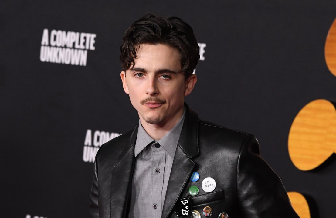 Timothée Chalamet: Lob von Bob Dylan ist große Bestätigung