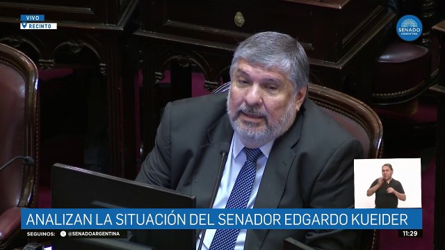 Inhabilidad moral : Mayans pidió tratar la exclusión de Kueider del senado y sumar al debate el pedido sobre Parrilli