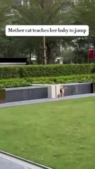 Mother teaches her baby to Jump RDS