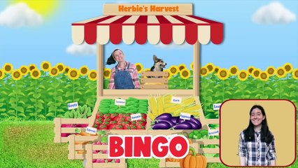 Bingo___More_Nursery_Rhymes___Kids_Songs_-_Ms_Rachel