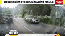 നടുറോട്ടിലേക്ക് മരം മുറിഞ്ഞുവീണ് അപകടം; കാർ യാത്രക്കാർ രക്ഷപ്പെട്ടത് തലനാരിഴയ്ക്ക്