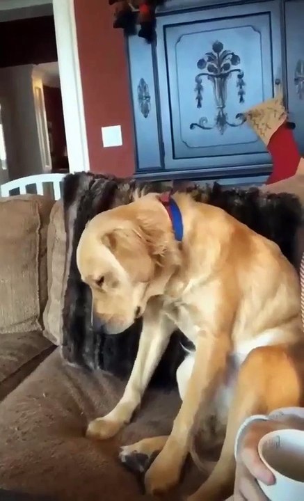 Muerto de sueño 💤