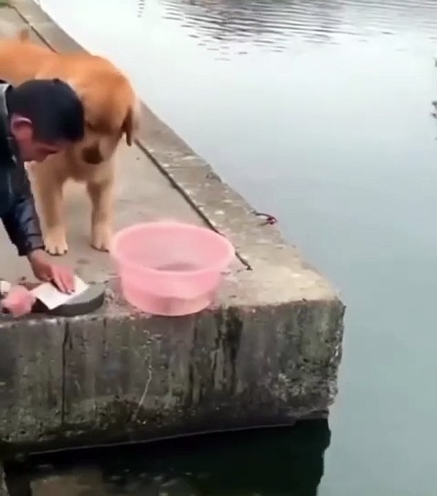 Deja a los peces en paz!