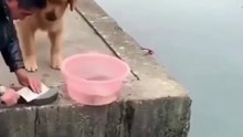Deja a los peces en paz!