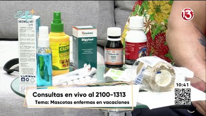 Entrevista - ¿Qué hacer si mi mascota se enferma en vacaciones lejos de un centro médico?