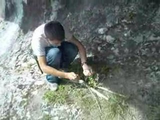 Regis remonte le temps