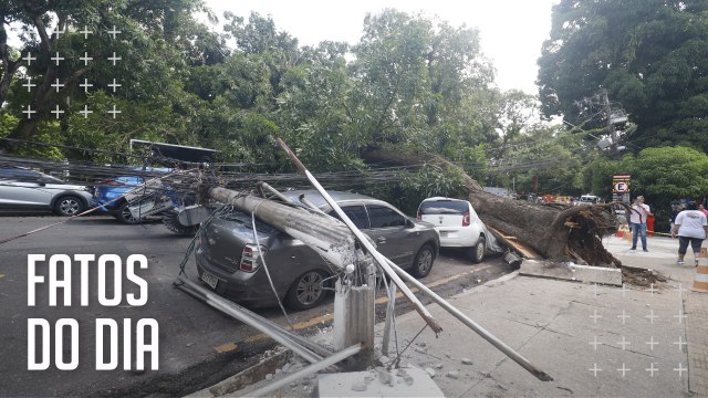 Árvore de grande porte tomba em cima de veículos, derruba postes e causa explosão na Praça Brasil