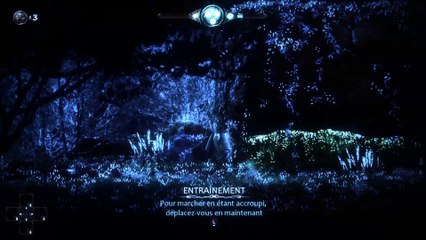 The Spirit of the Samurai - Le début du jeu