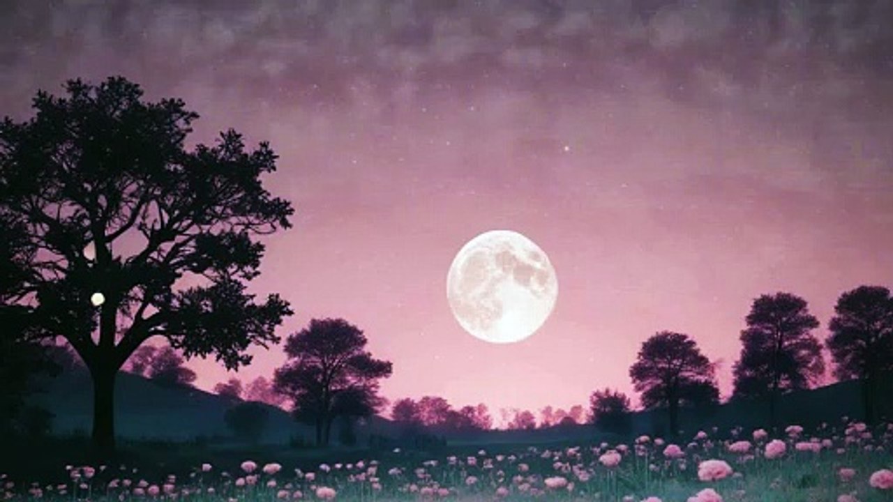 Eckoven Feat.Up town Boys_If I could just make it right