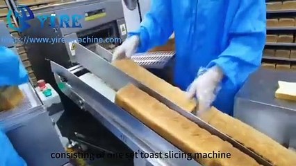 双排岩烧肉松生产线全英Double row rock roasted meat floss toast production line.