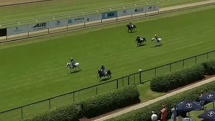 The small pony race at Newcastle's qualifying round for the National Pony Racing series | Newcastle Herald | December 14, 2024